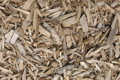 biomass boilers Kintillo